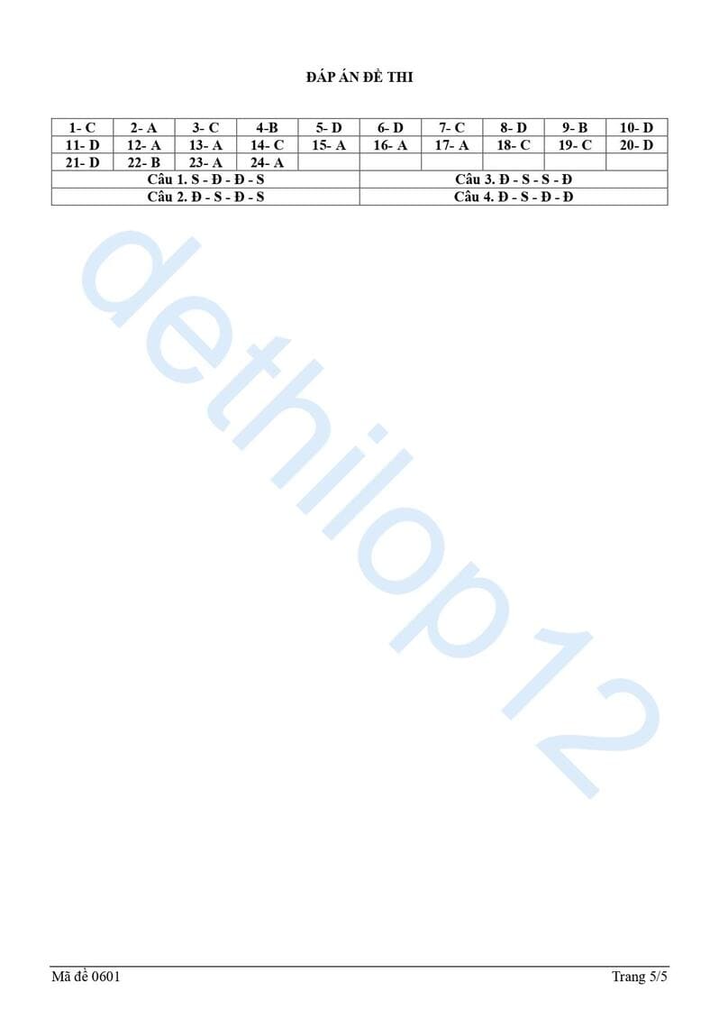 Đáp án 