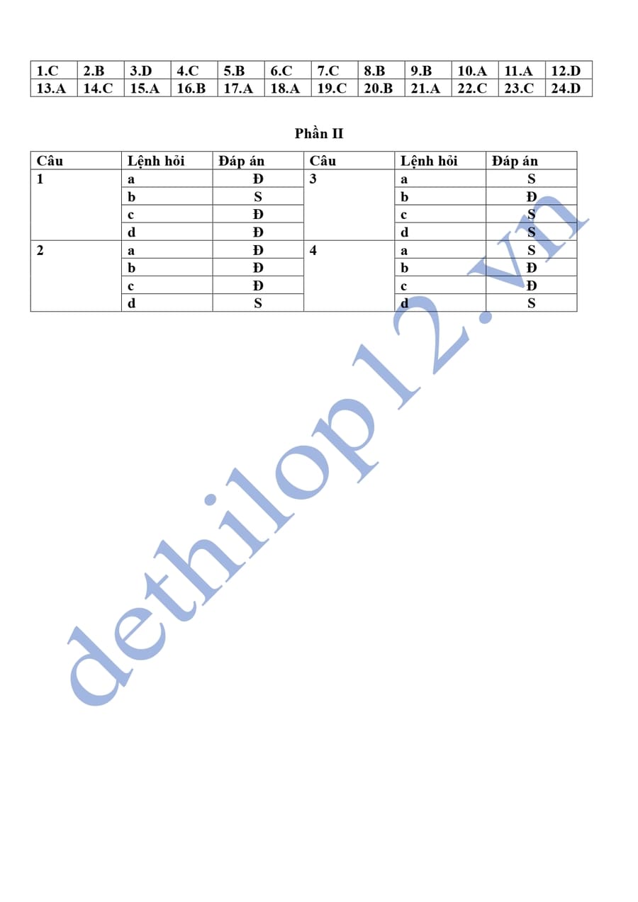Đề thi thử tốt nghiệp môn sử Kiên Giang 2025 có đáp án 5