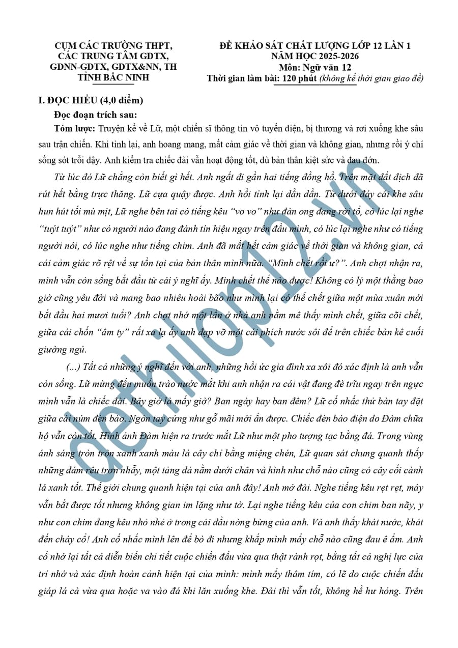 Đề thi khảo sát môn văn cụm THPT Bắc Ninh 2026 